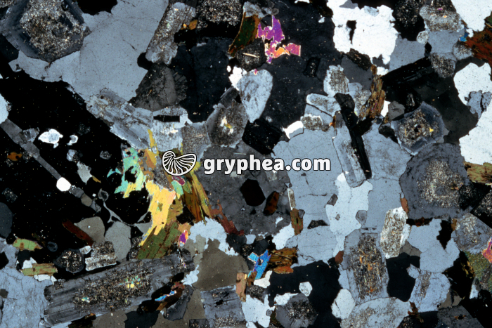 Granite d'anatexie LPA x3 - gryphea.com